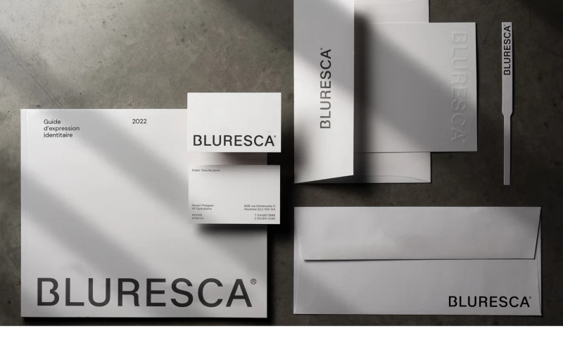 DD.NYC® - Blurseca