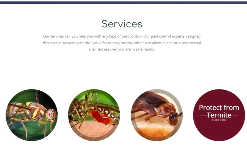 Solvify Tech - This project is purely bootstrap and responsive