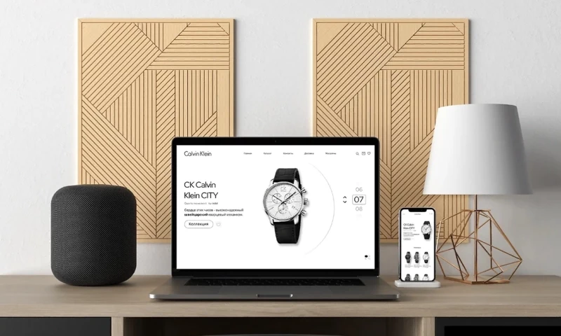 ZAMEDIA - Design of the Calvin Klein online watch store