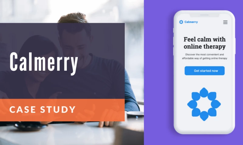 How do help Therapy SaaS customers navigate their platform?