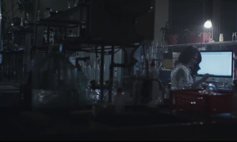 Mania Marketing - Video - Support talents