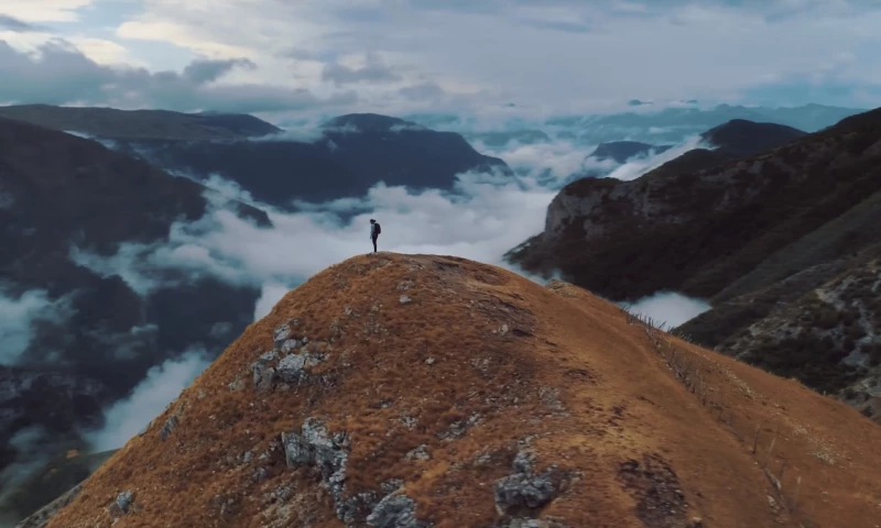 Mania Marketing - TV Commercial - Tea