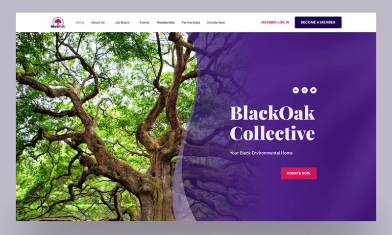 UPQODE - BlackOak Collective