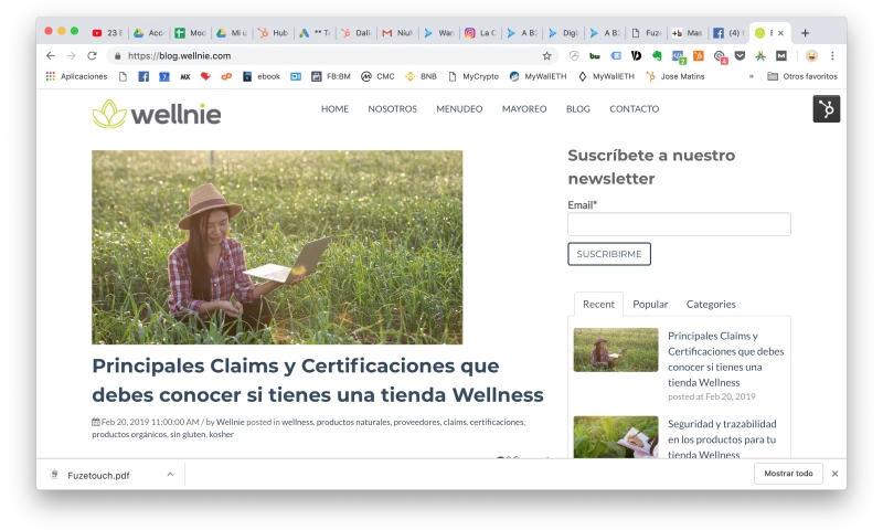 Wellnie - Inbound Marketing