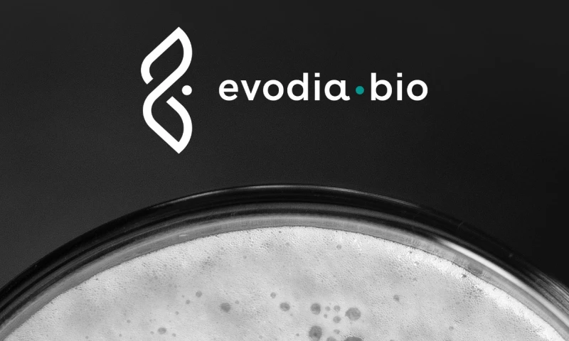 Lazy snail Design - EvodiaBio