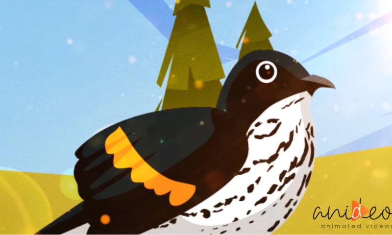 Anideos - Kindness | 2D Animation by Anideos