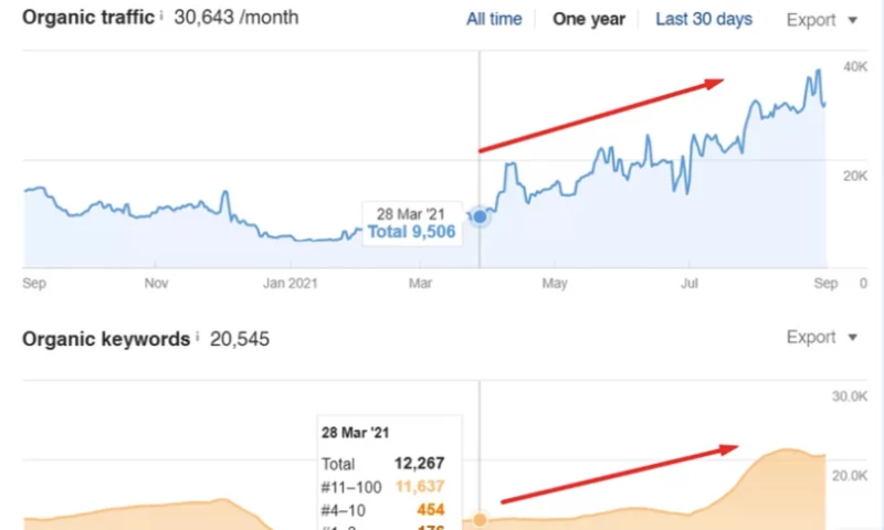 SEO Case Study: Fantastic Growth in Just 3 Months