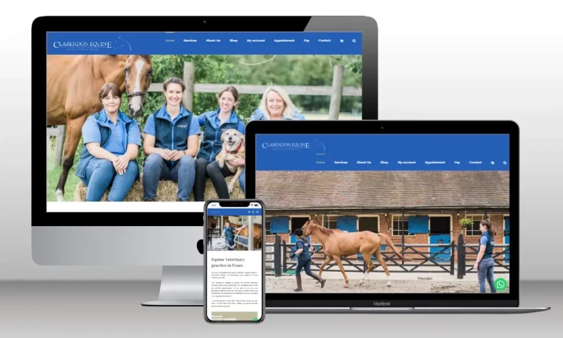 Leap Digital - Clarendon Equine