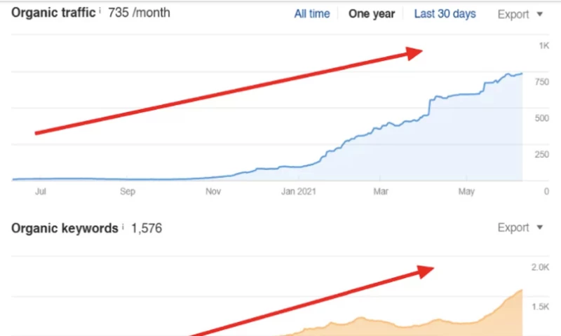 FULL STACK SEO Case Study: Crowdo Audit in Action