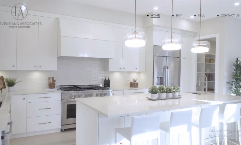 Futuristic Web Studios - Levene & Associates