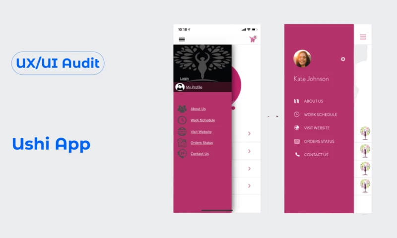 Ushi App | UI/UX Audit