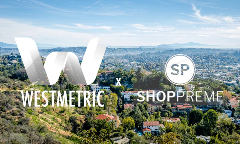 B2C E-Commerce Paid Media and CRO