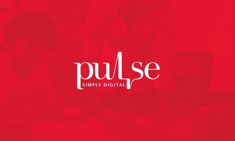 Fisheye Solutions - Pulse Digital