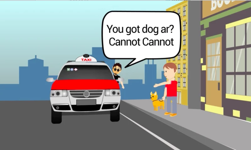 Contenteams Media LLP - Explainer Video