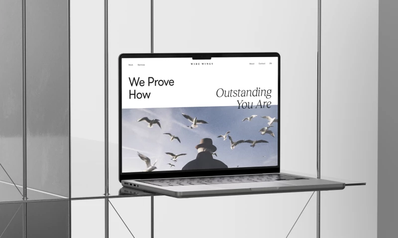 Wide Wings - Portfolio