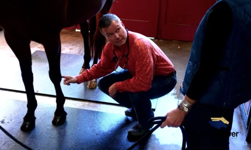 Boston Digital Productions - Horsepower