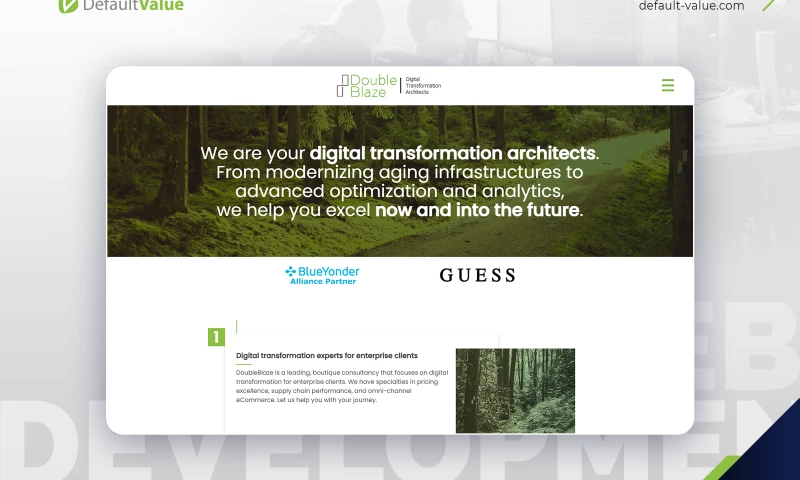 Default Value - DoubleBlaze Consulting American consulting company