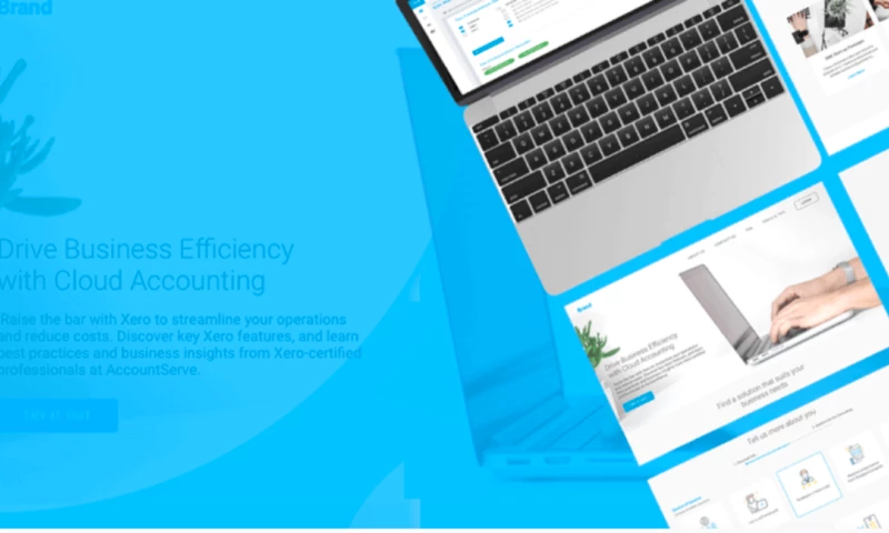 ITS - INDIVIDUAL TAX SYSTEM