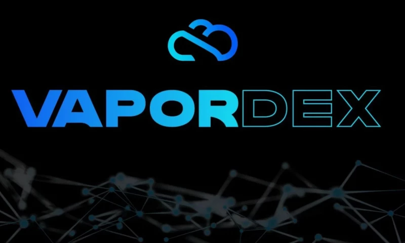 Case Study: VaporDEX