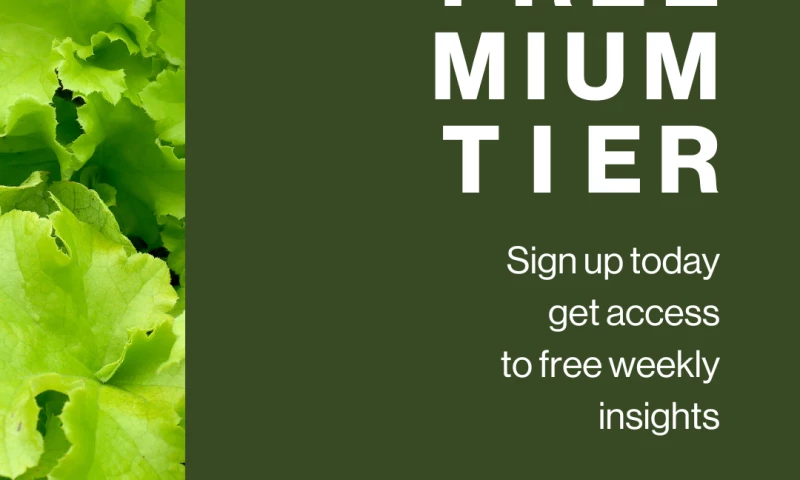 Brand audit, refresh and marketing for Fresh Logic