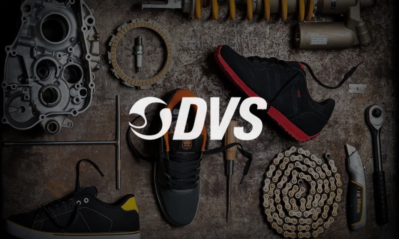 DVS