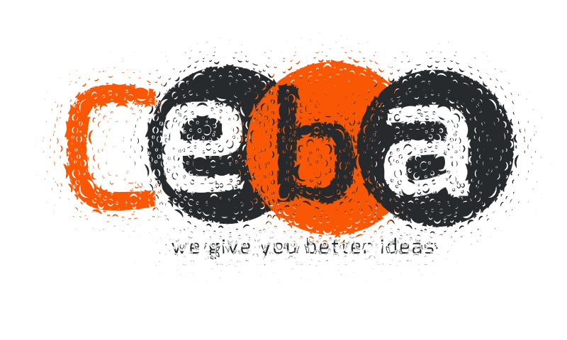 ceba tanzania - ceba tanzania