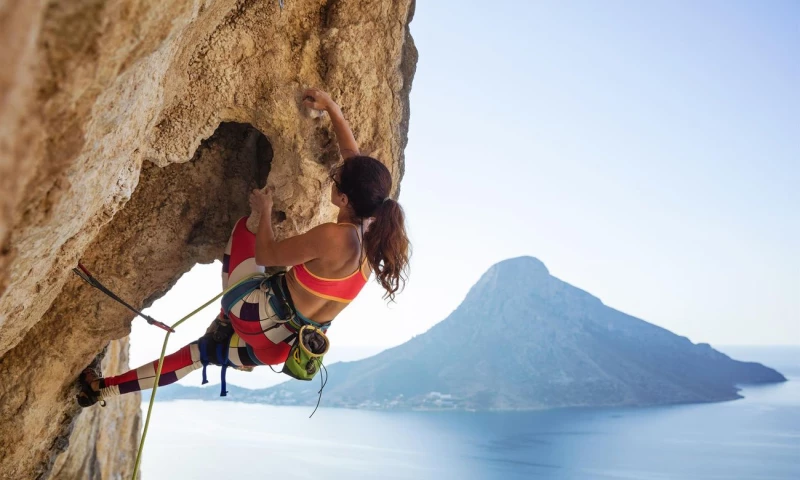 Website, Content Marketing