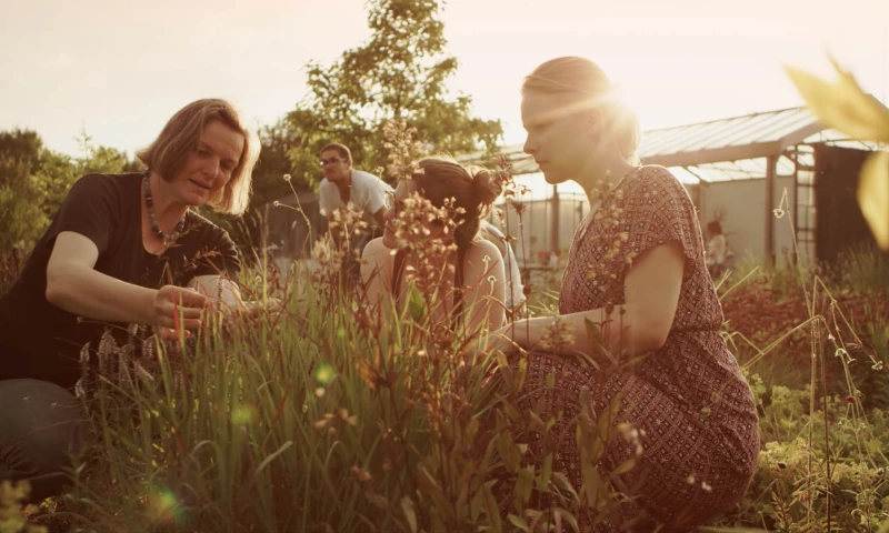 Ivory Productions - HSWT - Case Studies