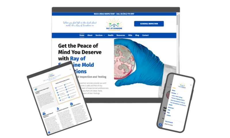 The Business Theory - Mold Inspector