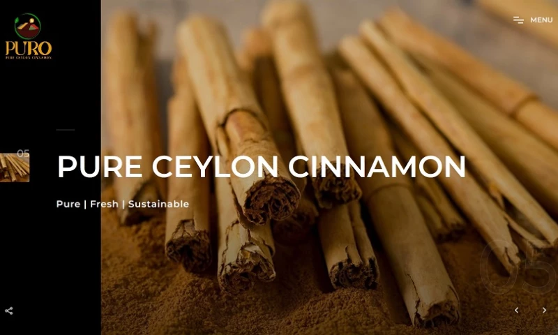 PragICTS - Online Presence for Puro