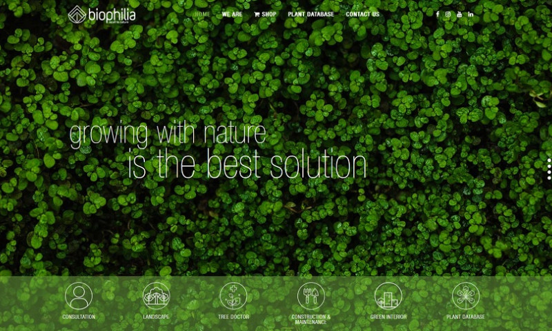 PragICTS - Online Presence for Biophilia