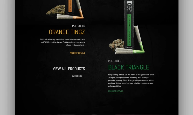 Dynamic Local - Pistol and Paris