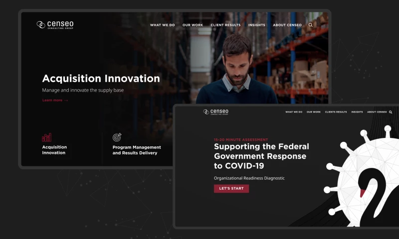 Consulting company that provides services to government organizations in the United States