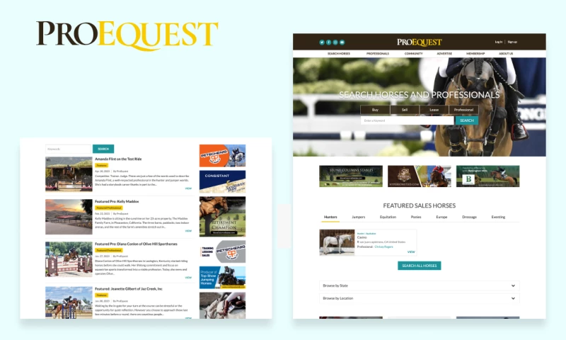 Vardot - ProEquest - Worldwide Equestrian Marketplace