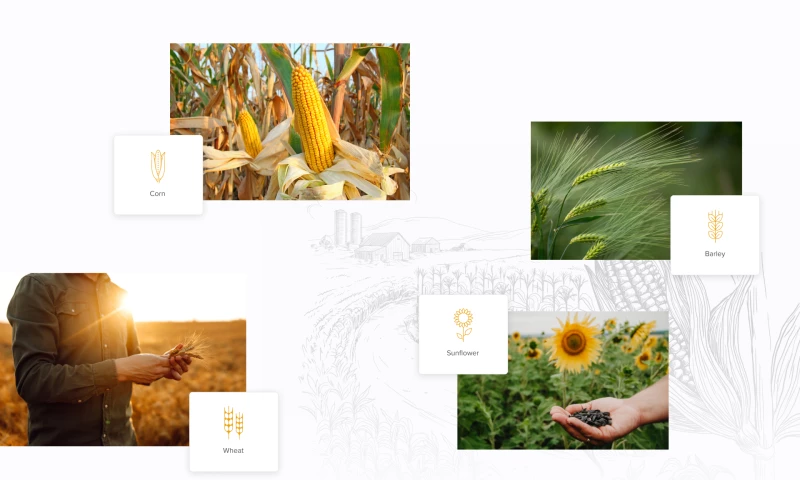 A Ukrainian agricultural holding that is focused on working with clients from the Mediterranean region.