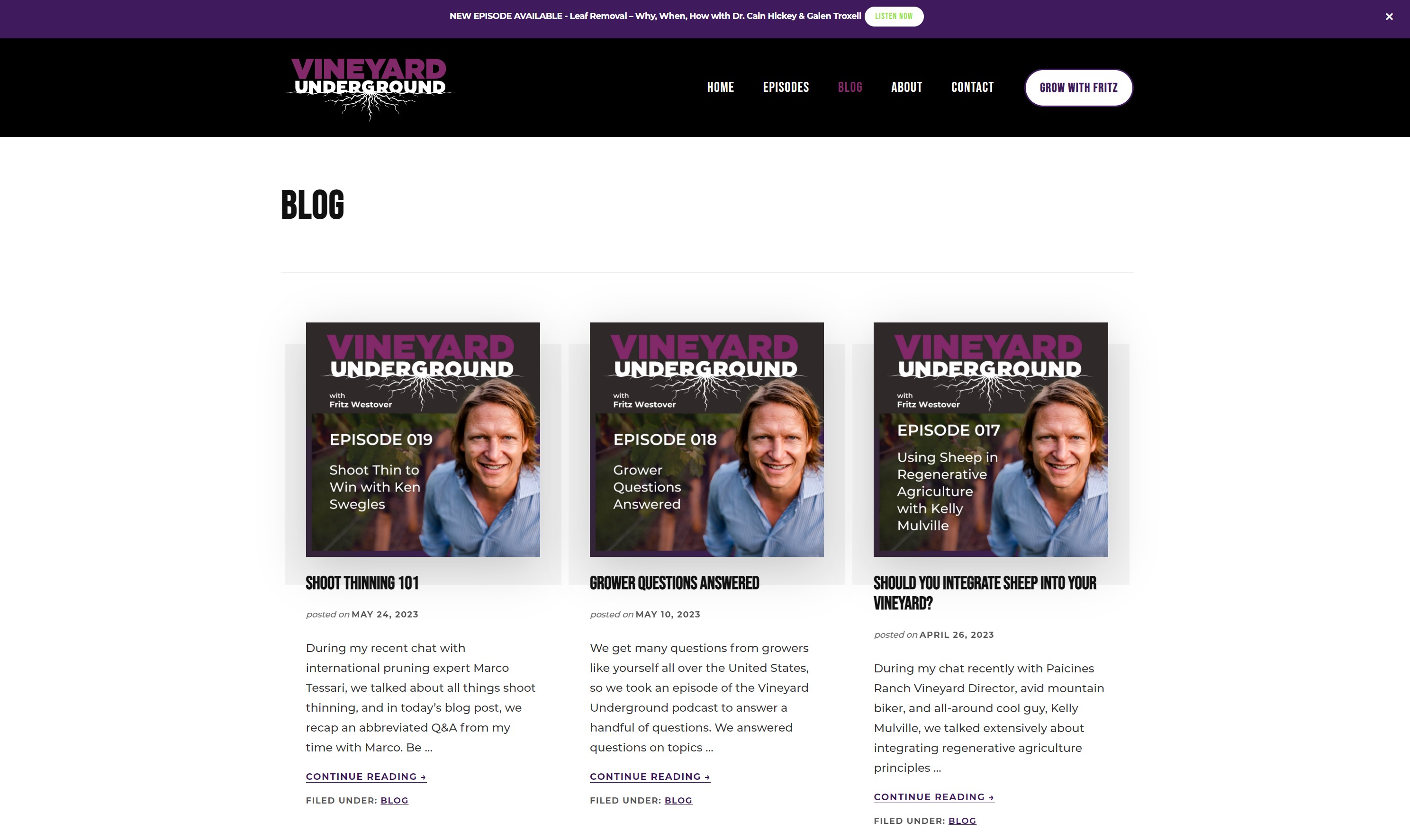 Vineyard Underground Podcast site Development
