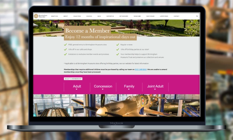 Ballyhoo - Birmingham Museums Trust