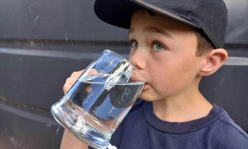 Vanessa Ellen Web Design - Water Sorter