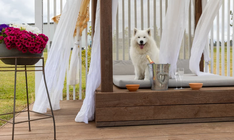 Vanessa Ellen Web Design - Soulful Projects