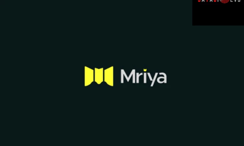 SayabiDevs - Branding