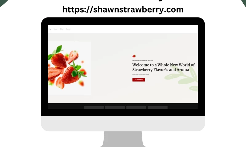 Nerd's Web World - Shawn Strawberry's