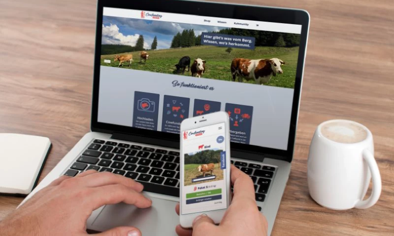 UPQODE - Cowfunding-Freiburg Startup