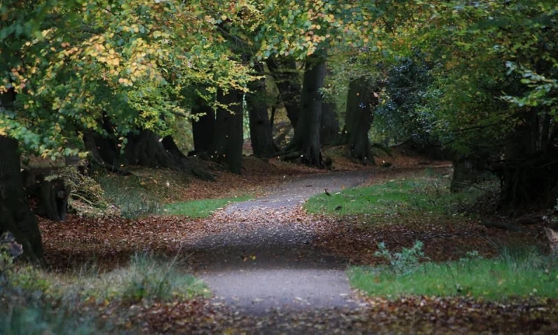 LC Web Design - JPL Coaching