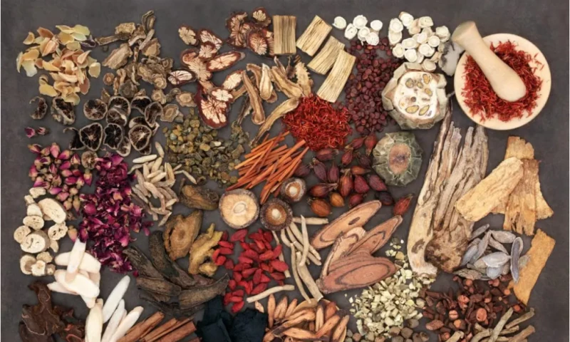 LC Web Design - Herbal Spa