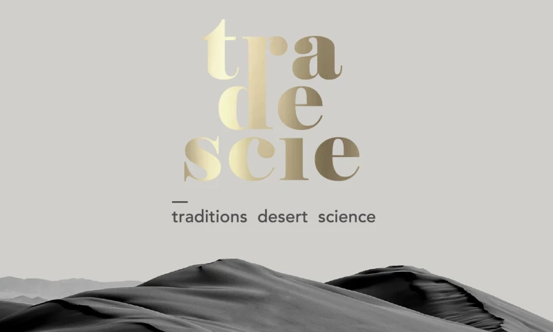 Compote Creative Studio - TRADESCIE cosmetics