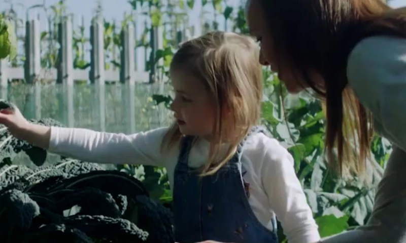 STV Creative - Smart Energy Advertorials