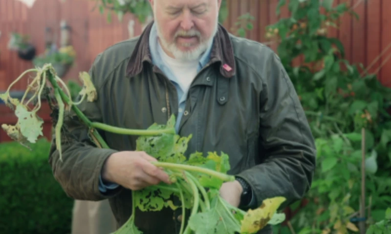 STV Creative - STV Zero & Smart Energy Little Changes