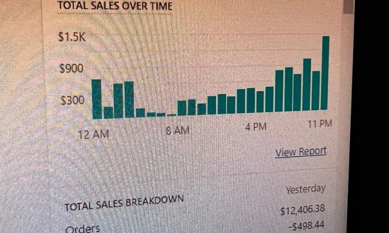 Businete Digital Agency - 387 orders with revenue of $11,907.94 dollars