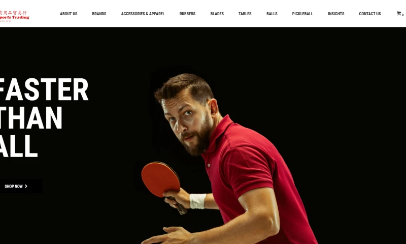 Leo Coders - Building an E-Commerce Website for Sinten