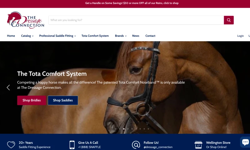 Ambition Insight - The Dressage Connection